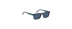 SUNGLASSES TOMMY HILFIGER 2089/S